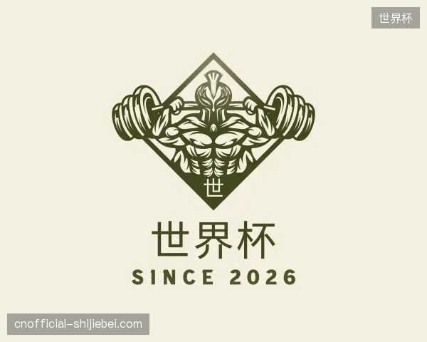关于世界杯官方入口